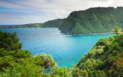 Aloha Honeymoon: Romantic Getaway to Maui