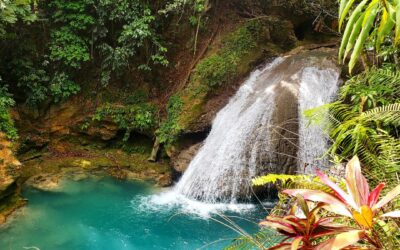 Honeymoon Adventure in Jamaica